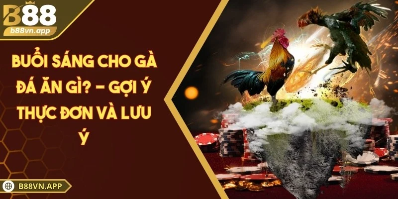 Buổi sáng cho gà đá ăn gì? - Gợi ý thực đơn và lưu ý