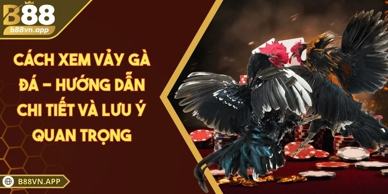 Cách xem vảy gà đá - Hướng dẫn chi tiết và lưu ý quan trọng