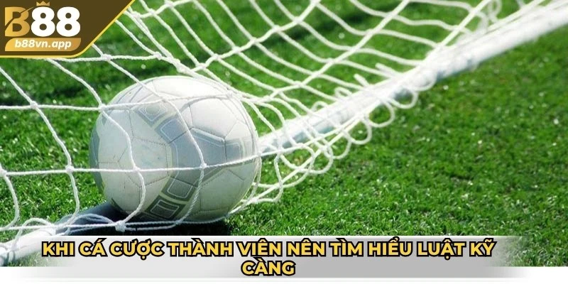 Khi cá cược thành viên nên tìm hiểu luật kỹ càng