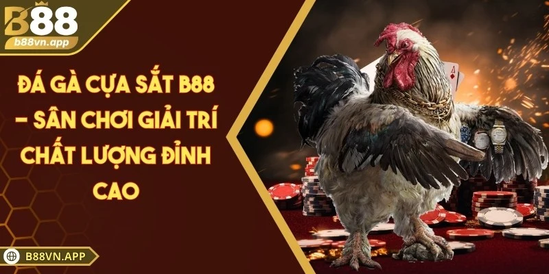 Đá gà cựa sắt B88 - Sân chơi giải trí chất lượng đỉnh cao