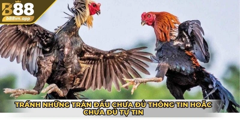 Tránh những trận đấu mà bạn chưa đủ thông tin hoặc chưa đủ tự tin