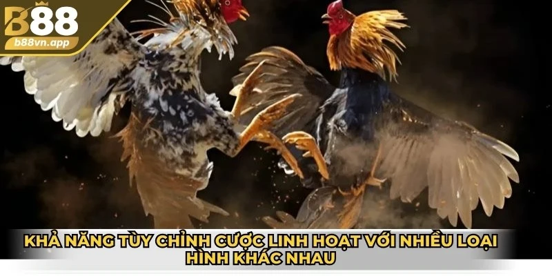 Khả năng tùy chỉnh cược linh hoạt với nhiều loại hình khác nhau