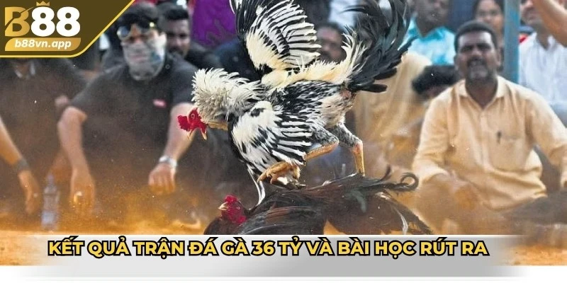 Kết quả trận đá gà 36 tỷ và bài học rút ra