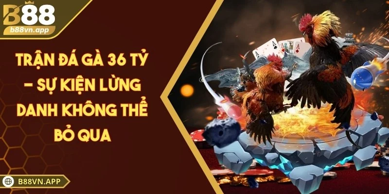 Trận đá gà 36 Tỷ - Sự kiện lừng danh không thể bỏ qua